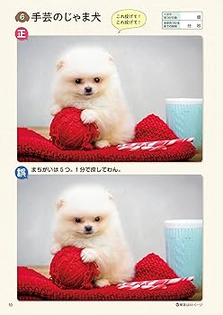 毎日脳活スペシャル いぬのまちがいさがし ポメラニアンてんこ盛り